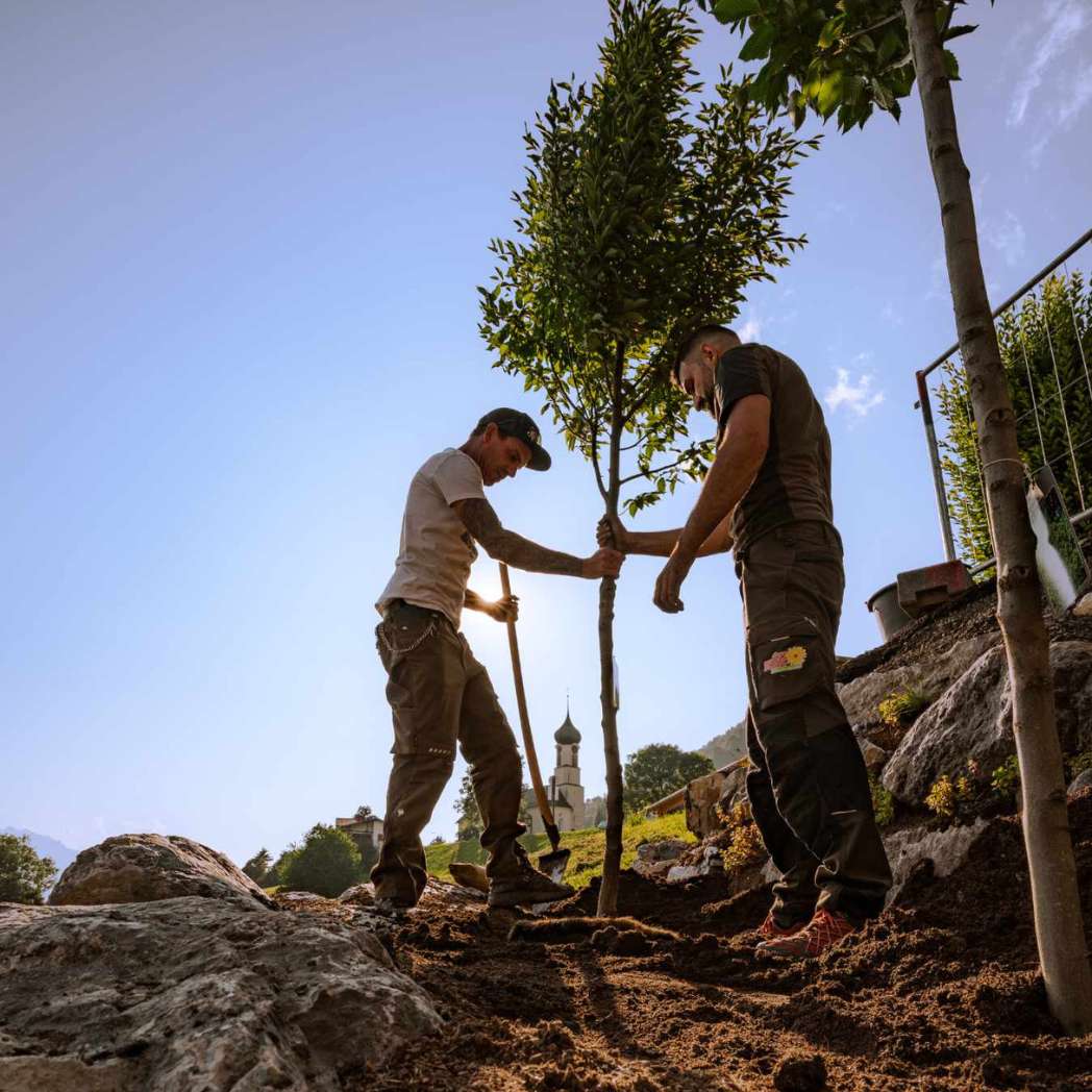 Bio Dünger-Mix für Baum, Strauch und Hecken