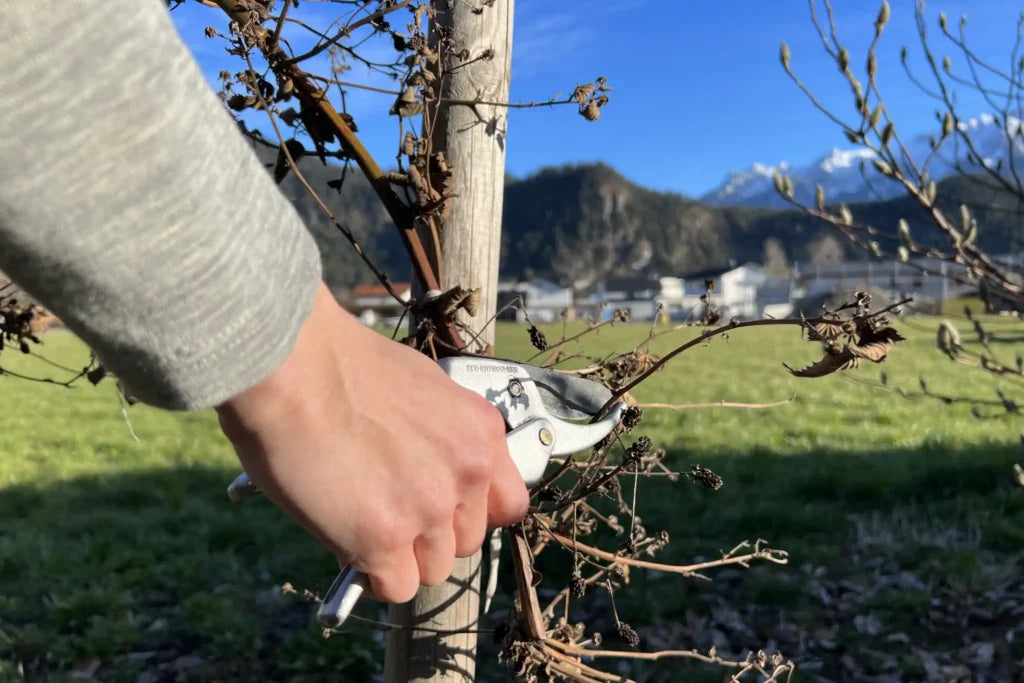 Terre Suisse GmbH