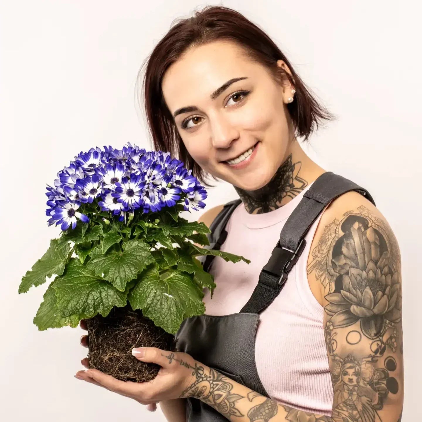 Blumenerde