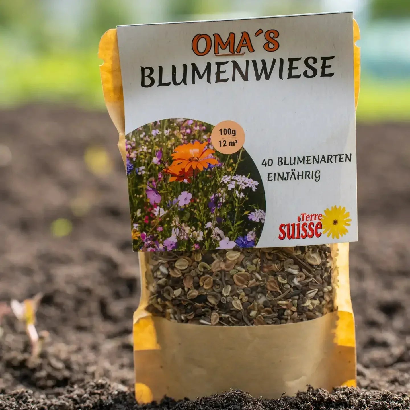 Blumensamen der Mischung Oma's Blumenwiese von Terre Suisse