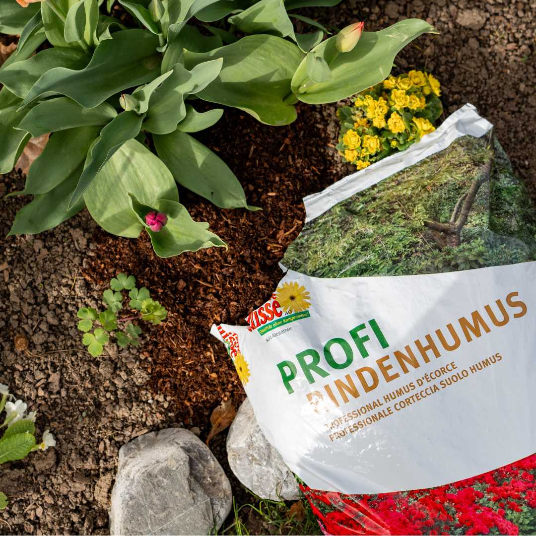 Rindenhumus