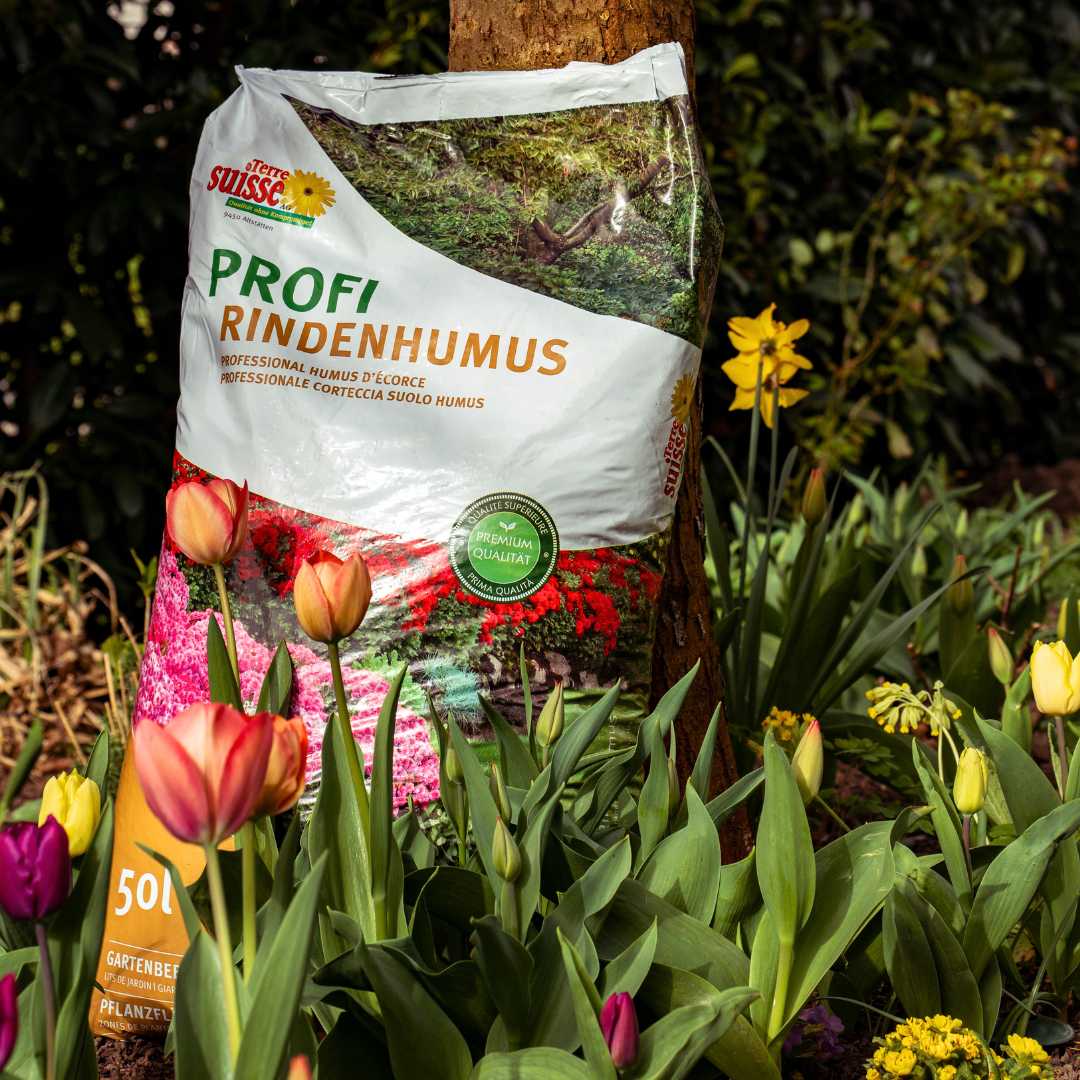 Rindenhumus
