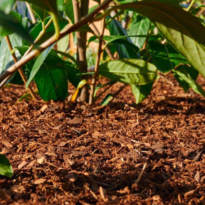 Rindenmulch