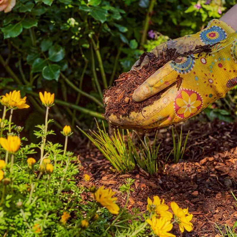 Rindenmulch