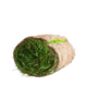 Rollrasen m²