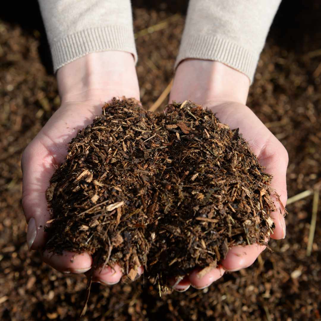 Bio-Waldboden Pferdeeinstreu